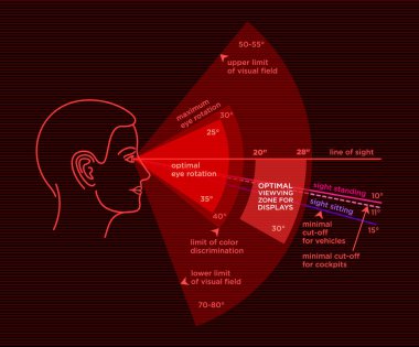 Ergonomi görüş açısı. İnsan görme aralığı... Doğru oturma ve bir bilgisayar kullanırken ayakta açı. Vektör çizim web veya baskı tasarımı için.