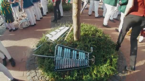 Schützenfest Oder Traditionelles Schützenfest Sassenberg Bei Münster Westfalen — Stockvideo