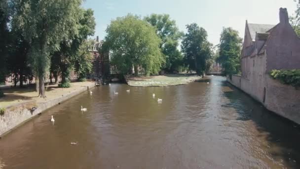 Idyllic River Old City Center Brugge Bruges Belgium Summer Spring — стоковое видео