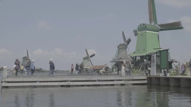 アムステルダムのオランダのザーンセ シャンの牧歌的で美しい風車のパノラマ フラットプロファイル — ストック動画