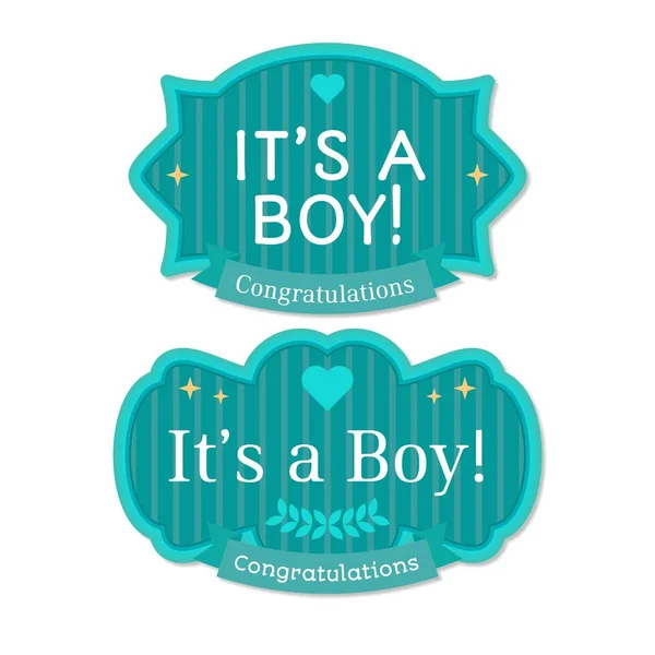 Babyborn Boy Badge Label Boy Tosca Label — Stock Vector