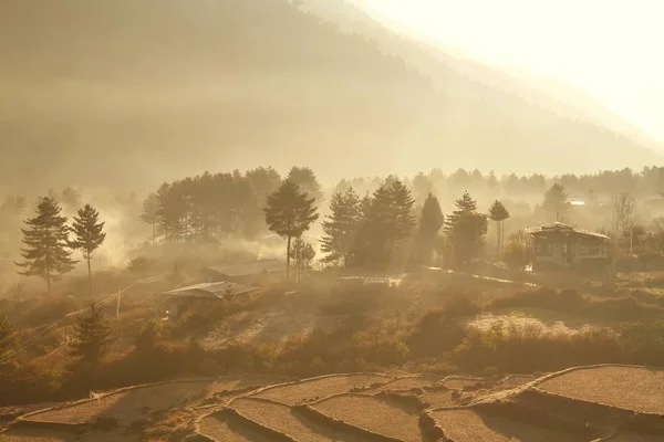 ブータンで小さな村に霧の朝に収穫後の田んぼ — ストック写真