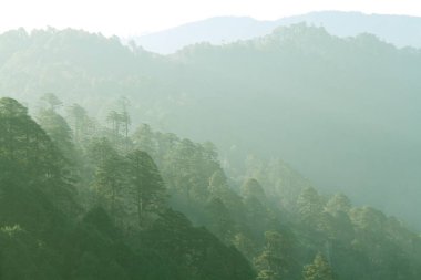 Yeşil orman ve dağ silsilesi içinde sis tabakası. Thimphu yoldan Punaka, Bhutan Dochula pası görüntüleyin