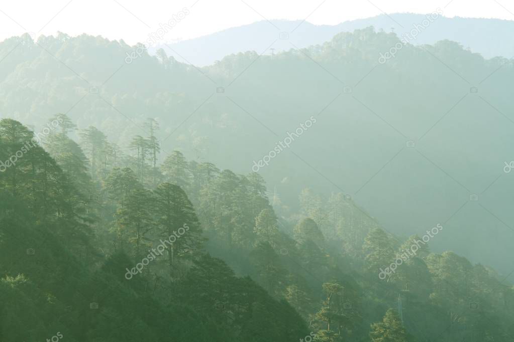 Layer of green forest and mountain range in the mist. View from Dochula Pass on the road from Thimphu to Punaka, Bhutan