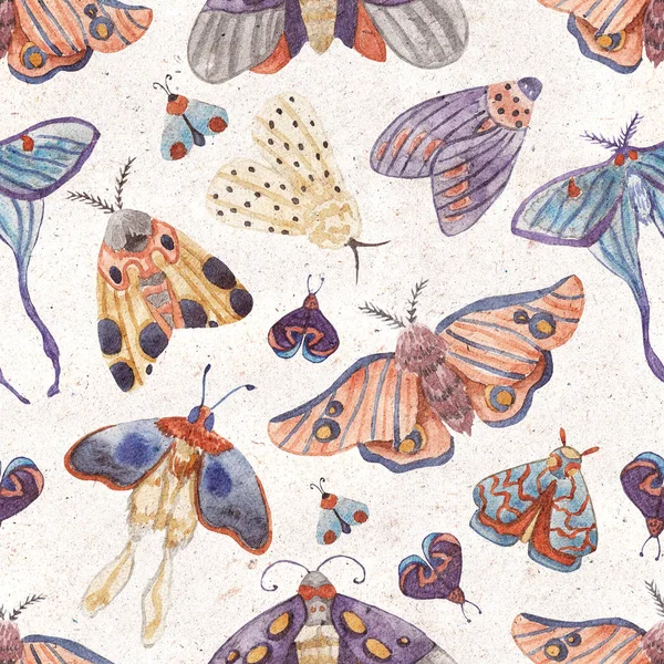 Seamless Pattern Watercolor Moths White Isolated Background — Stock Photo, Image