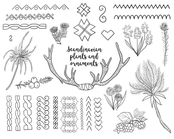 Skandinaviska Växter Och Prydnader Uppsättning Vektor Illustrationer Vit Isolerade Bakgrund — Stock vektor