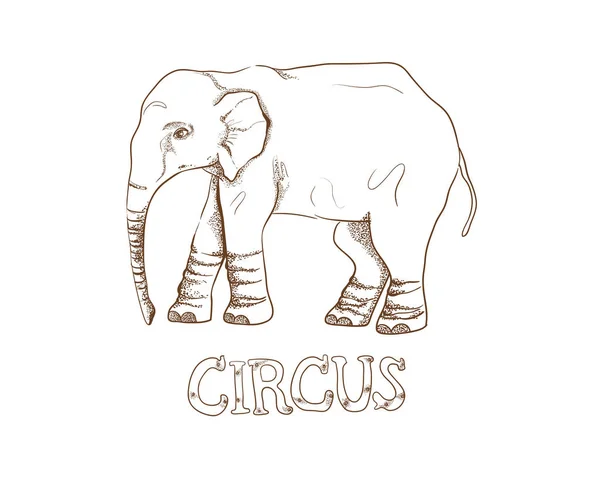 Éléphant Cirque Illustration Vectorielle Monochrome Sur Fond Blanc — Image vectorielle