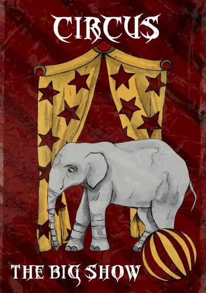 Zirkus Vintage Poster Mit Elefant — Stockfoto