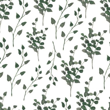 Beyaz arka plan üzerinde okaliptüs dalları ile Seamless suluboya modeli