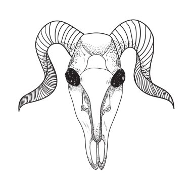 Çeviri: nazo82 Shagrathian