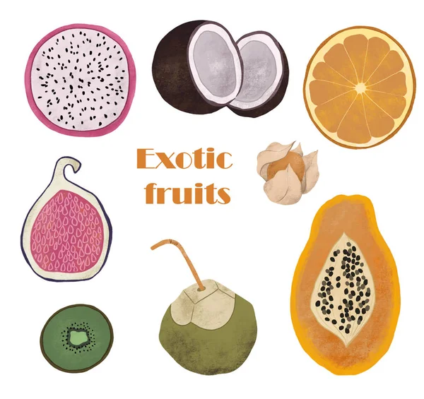 Kolekcja Egzotycznych Owoców Figi Papaja Physalis Kokos Pomarańcza Kiwi Smocze — Zdjęcie stockowe