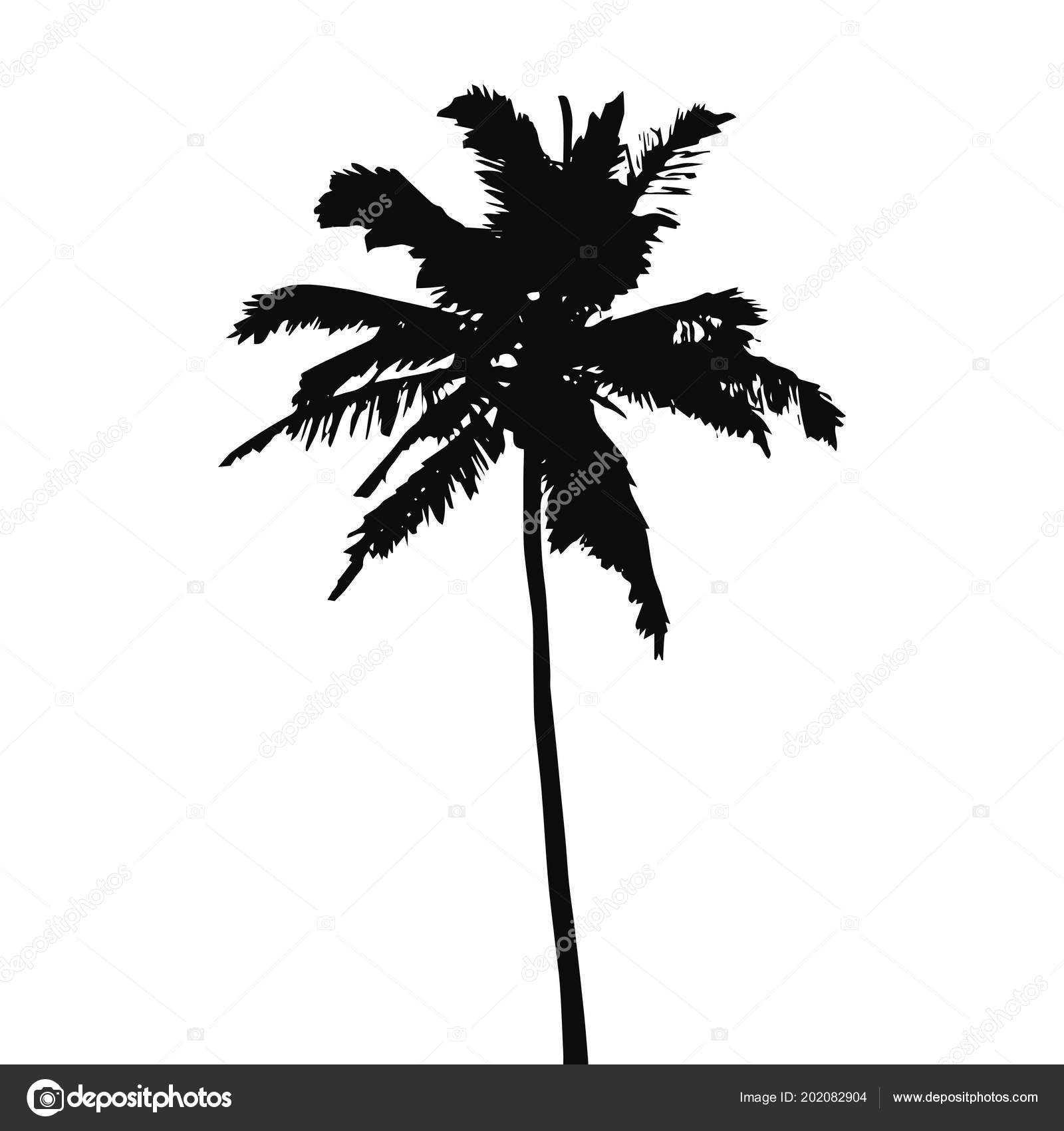 ヤシの木の黒いシルエットは白い背景に隔離されています ベクターイラスト ストックベクター C Exit Near Gmail Com 904