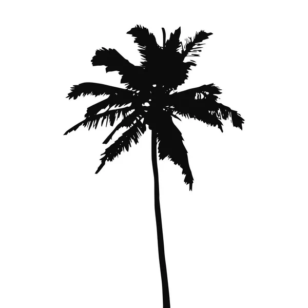 Silueta Negra Palmera Coco Aislada Sobre Fondo Blanco Ilustración Vectorial — Vector de stock