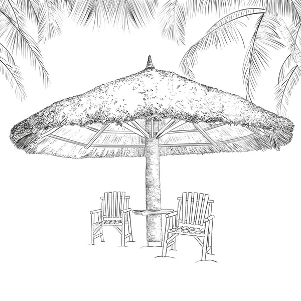 Sketch Parasol Chairs Palms Vector Illustration — Stock Vector