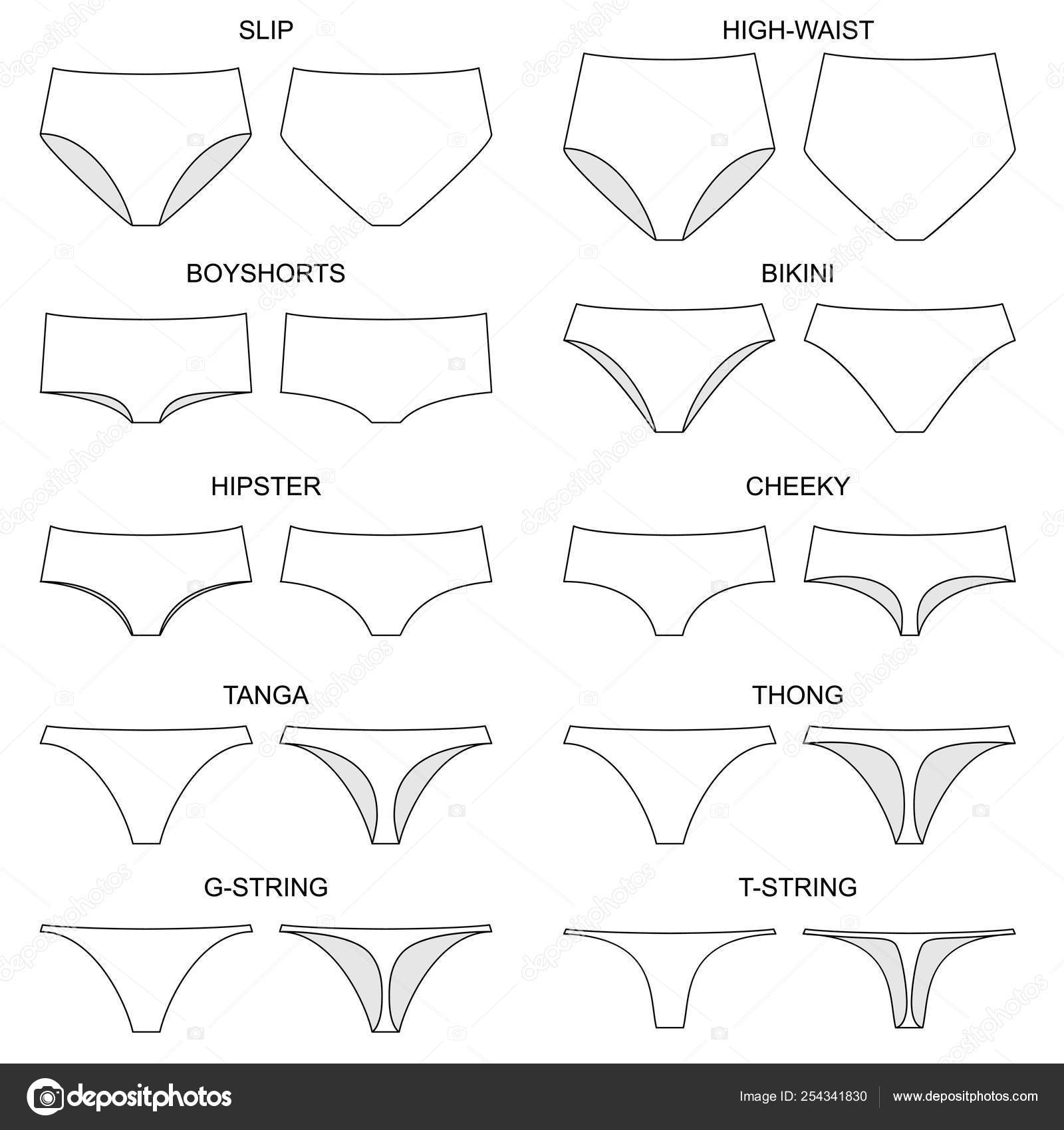 Types Women's Panties Front View Set Underwear Slip High Waist Stock Vector  by ©exit.near.gmail.com 254341830