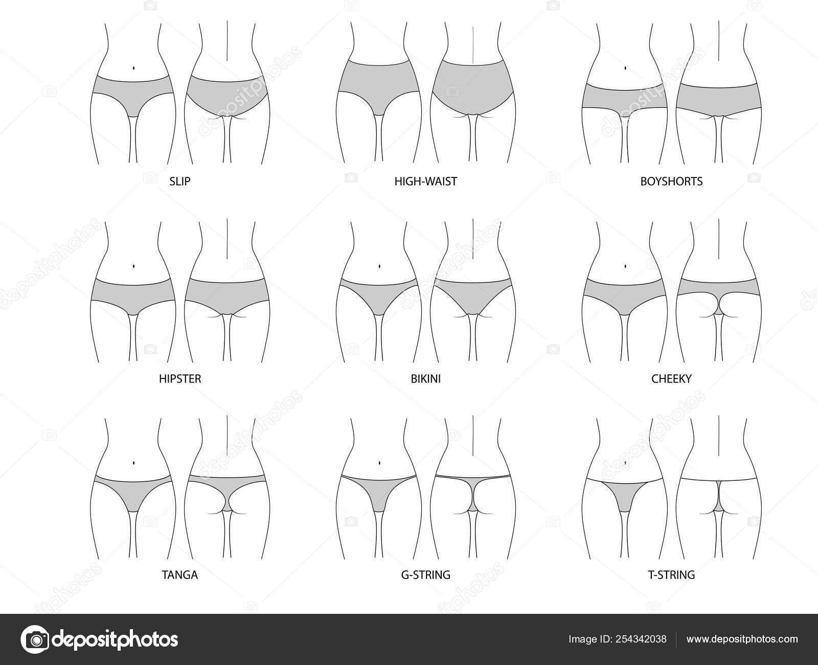 Types Women's Panties Front View Set Underwear Slip High Waist Stock Vector  by ©exit.near.gmail.com 254342038