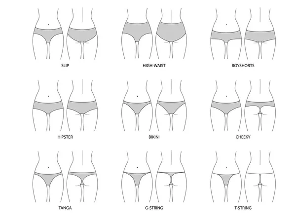 Types of women's panties and bras. Set of underwear Stock Vector
