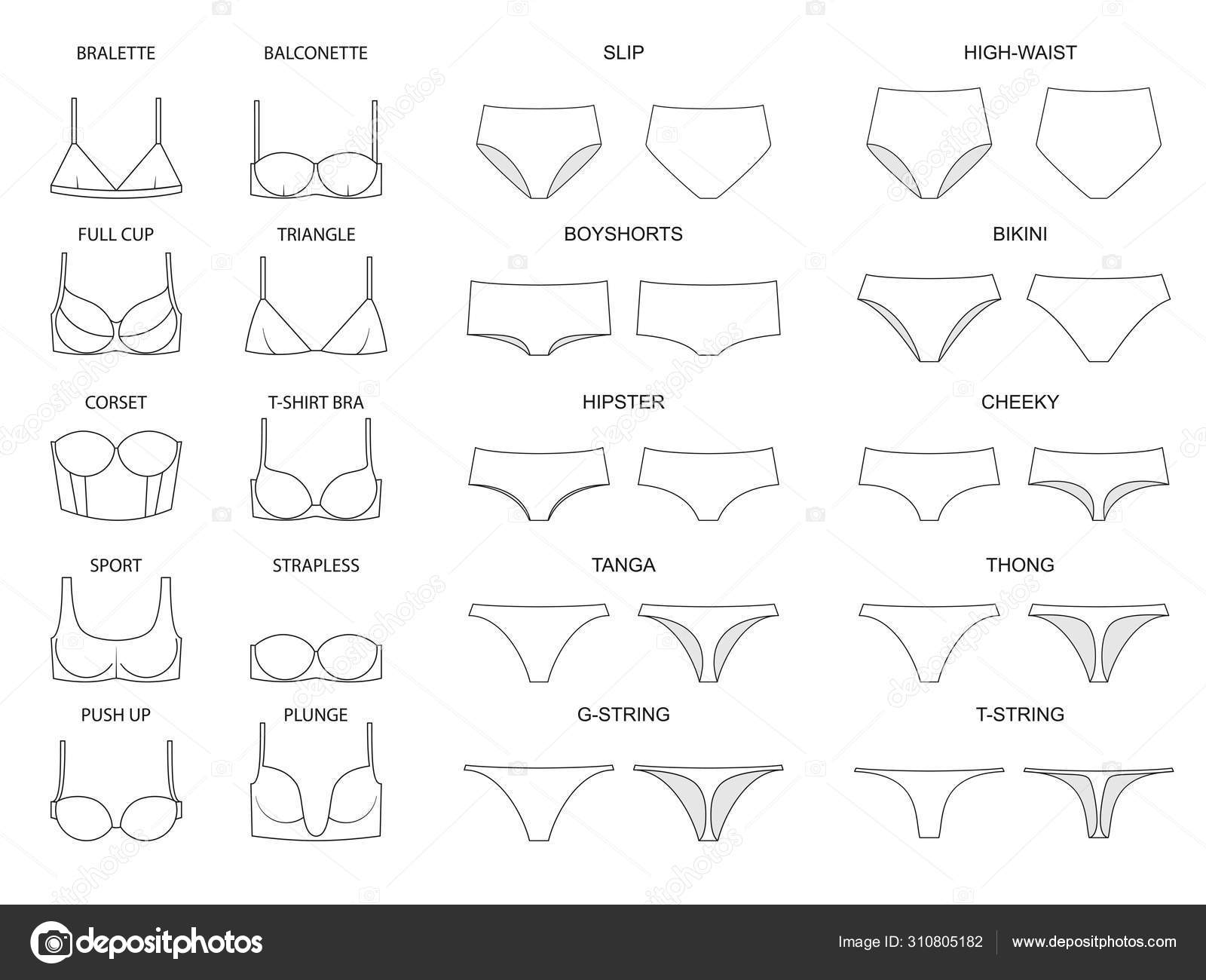 Types Women's Panties Bras Set Underwear Vector Illustration Stock Vector  by ©exit.near.gmail.com 310805182