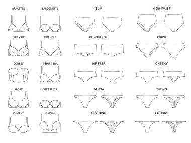 Types of women's panties  and bras. Set of underwear. Vector illustration clipart
