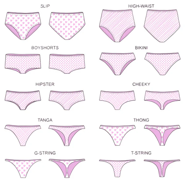 Types of women's panties and bras. Set of underwear ⬇ Vector Image by ...