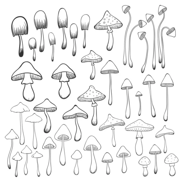 Raccolta Funghi Disegnati Mano Isolati Fondo Bianco Illustrazione Vettoriale — Vettoriale Stock