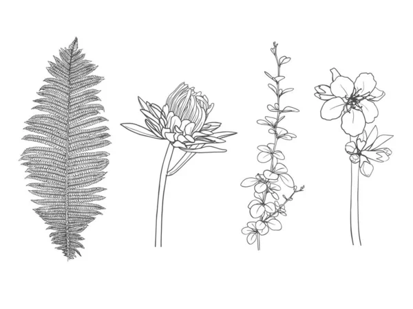 Ručně Kreslené Květinové Prvky Izolované Bílém Pozadí Vektorová Ilustrace — Stockový vektor