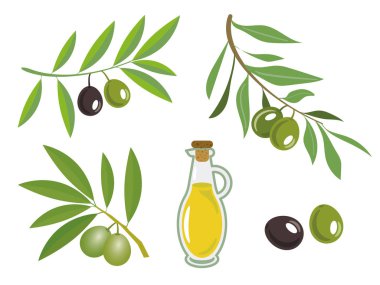 Küme, koleksiyon izole düz vektör zeytin ve zeytinyağı şişeleri.