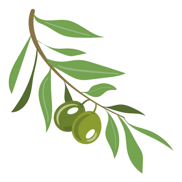 Olive Branch Green Olives White Background Isolated — Stock Vector