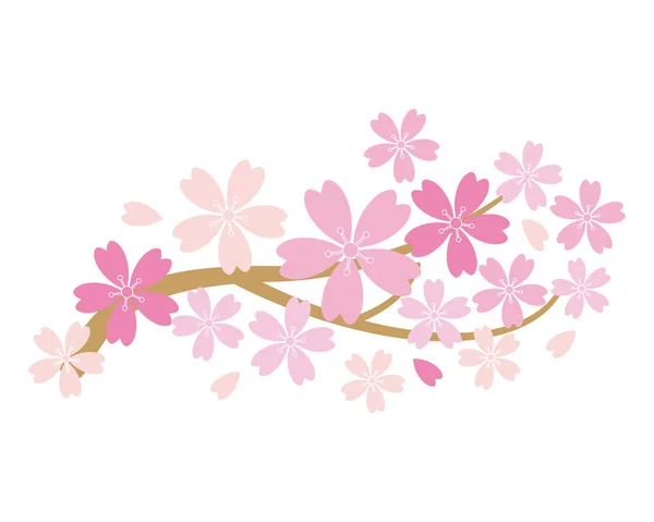 Kiraz Çiçeği Arkaplanı Sakura Çiçekleri Düz Düz Vektör Çiziminde Pembe — Stok Vektör