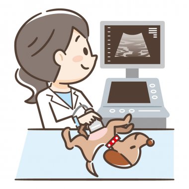 Ultrason muayenesi yapılan bir köpeğin illüstrasyonu