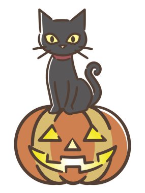 Beyaz arka planda Cadılar Bayramı balkabağı ve siyah kedi