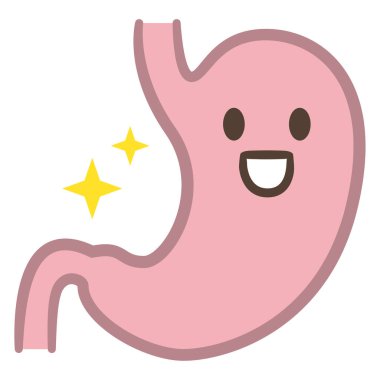 Sağlıklı, mutlu, gülümseyen, tatlı bir mide karakteri. Vektör düz çizgi film kawaii resim ikonu tasarımı. Beyaz arka planda izole edilmiş. Mide, karın ağrısı, ağrı, hastalık, ağrı konsepti.