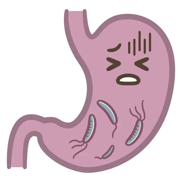 Anatomia Przełyku Helicobacter Pylori Promo Post Medyczny — Wektor stockowy