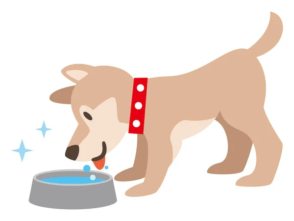 Illustration Hund Dricksvatten — Stock vektor