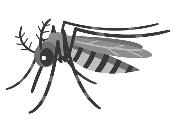 Vector Diseño Mosquito Sobre Fondo Blanco Insecto Animales — Vector de stock
