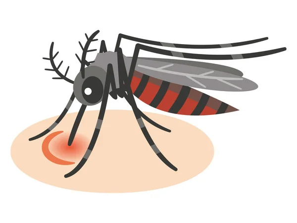 Ilustración Mosquito Chupando Sangre — Vector de stock