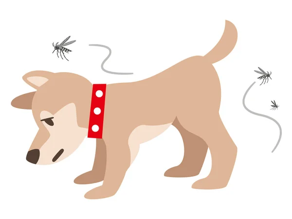 Illustration Chien Avec Une Morsure Moustique — Image vectorielle