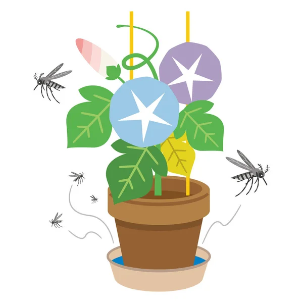 Ilustrace Komára Komára Shromažďujícího Vodě Nahromaděné Podšálku Květináče — Stockový vektor