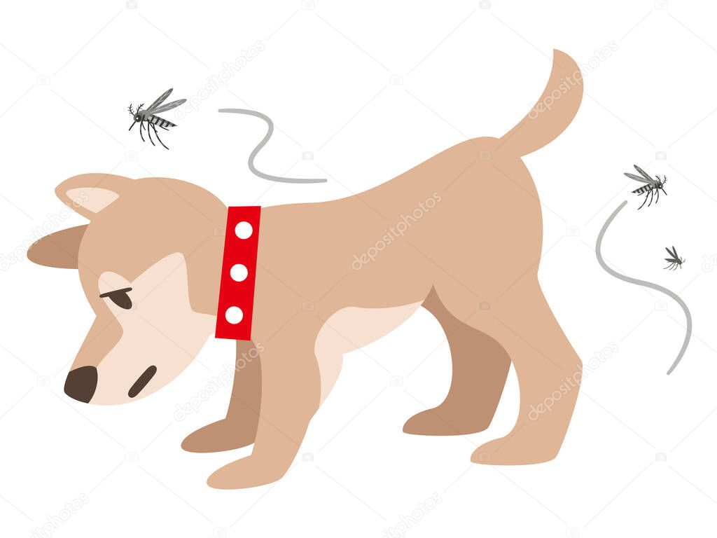 Illustration of a dog with a mosquito bite