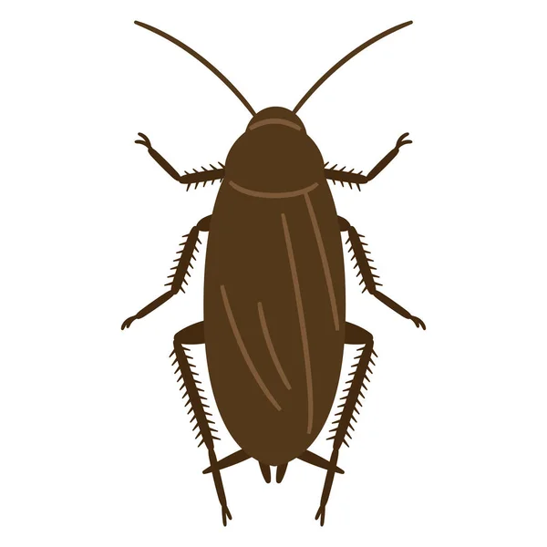 Ilustración Cucaracha Sobre Fondo Blanco — Archivo Imágenes Vectoriales