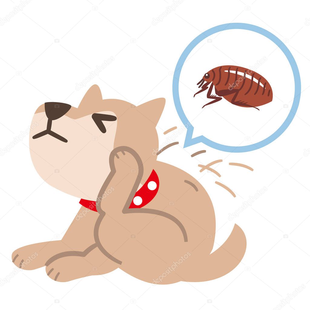Illustration of a dog scratching his body with a flea