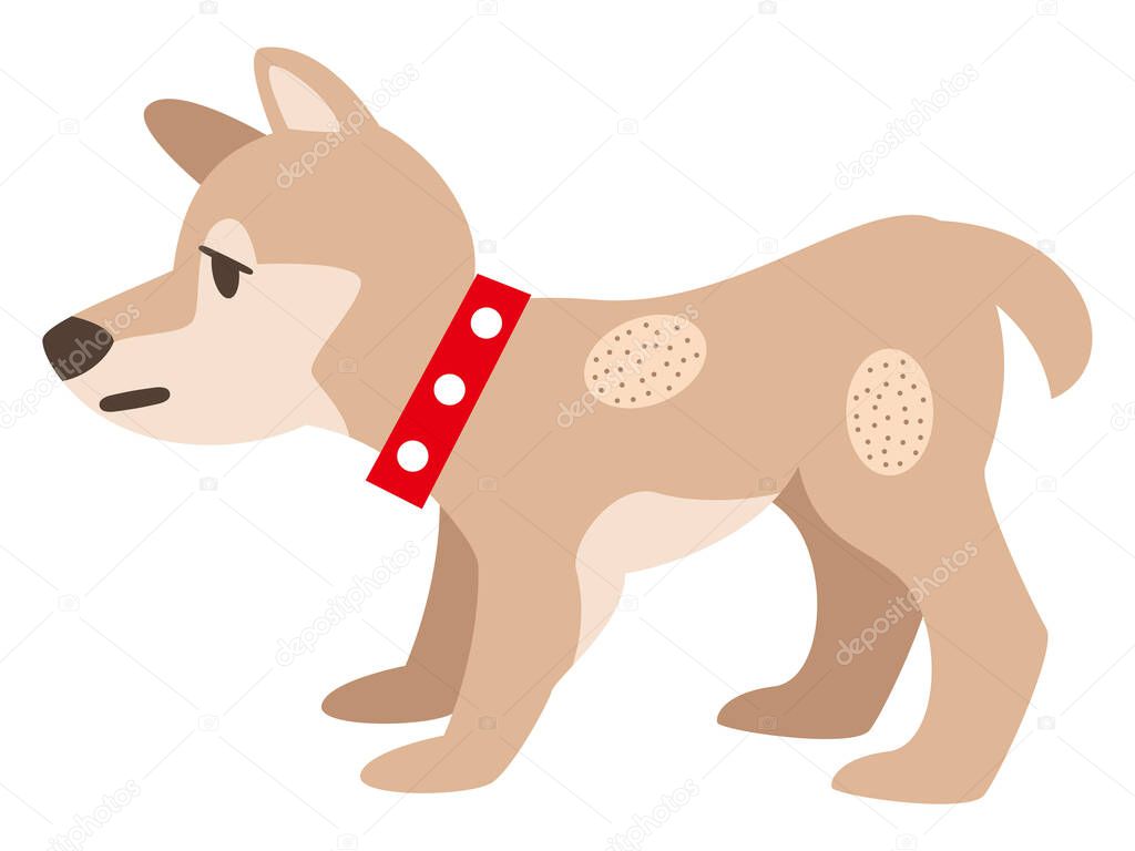 Illustration of a dog with eczema on the skin