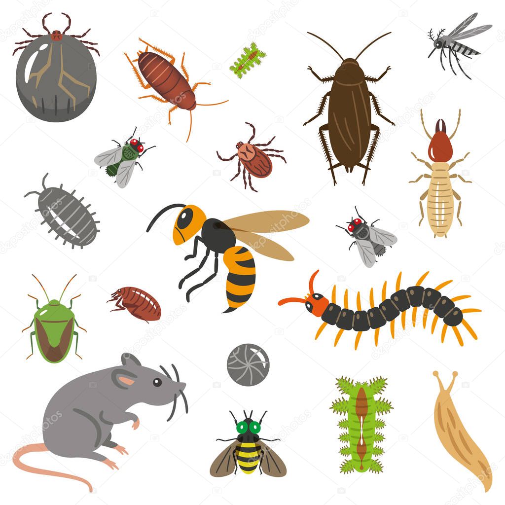 Set of pests and pests illustration