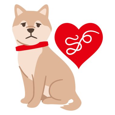 Kalp solucanı bulaşmış bir köpeğin tasviri.