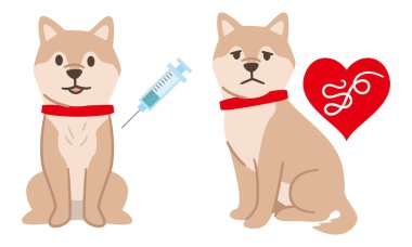 Aşılanmış köpek ve köpekler kalp solucanı bulaşmış.