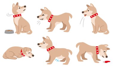 Beyaz arka planda filariazis gibi fiziksel durumu olan bir köpek tasviri