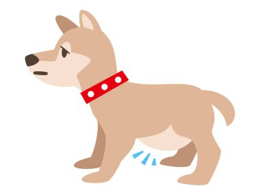 Beyaz arka planda assitleri olan bir köpek tasviri