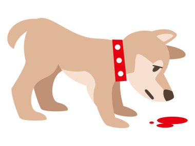 Beyaz arka planda kan koklayan bir köpek tasviri.