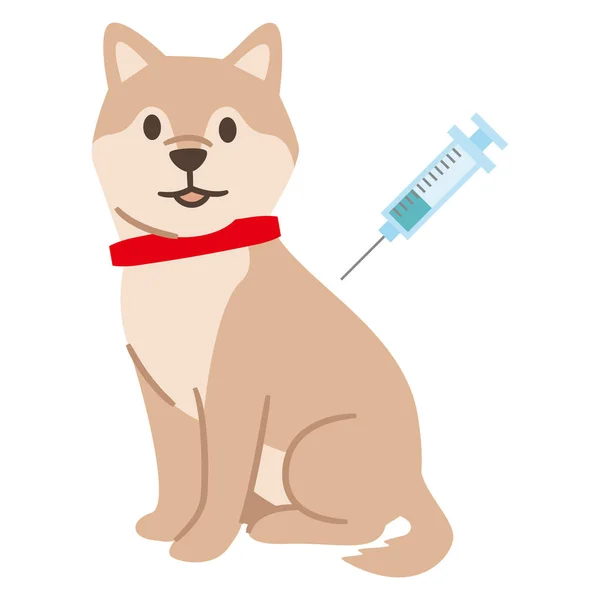 狗只注射疫苗的图例 — 图库矢量图片