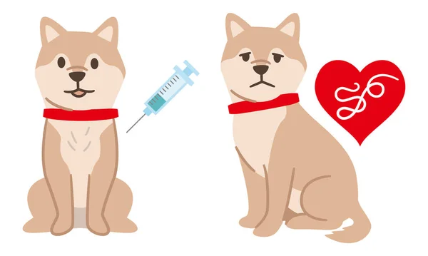 Cani Vaccinati Cani Infetti Filariosi — Vettoriale Stock